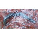 Durite de vase d'expansion - Alfa Romeo GTV / SPIDER