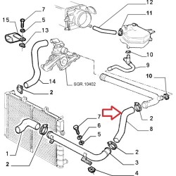 Hose  - Alfa Romeo 164