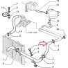 Hose  - Alfa Romeo 164