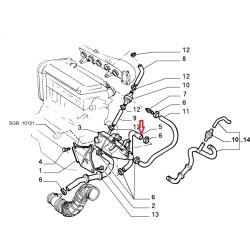 Hose  - Fiat Coupe 2.0 20V Turbo