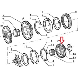 Pinione di seconda marce  - Alfa Romeo 33 (1988 - 1994)