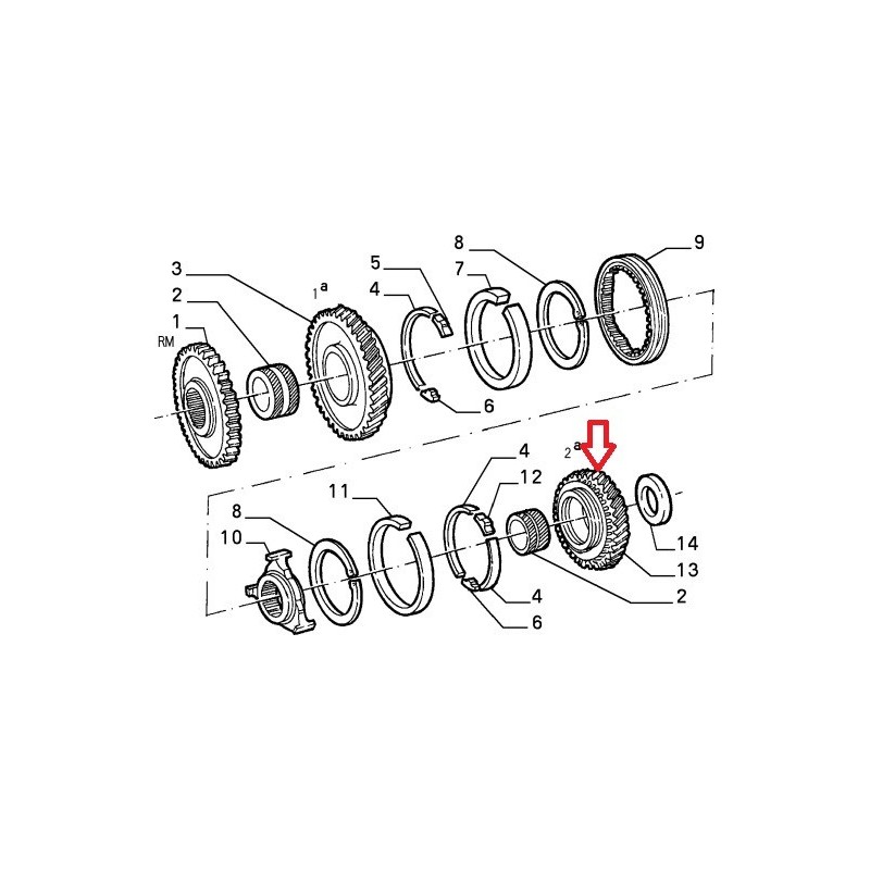 Second gearbox pinion  - Alfa Romeo 33 (1988 - 1994)