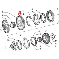 First gearbox pinion  - Alfa Romeo 33 (1988 - 1990)