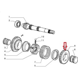 Second gearbox pinion  - Fiat Cinquecento / Panda / Seicento