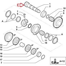 Arbre primaire de boite de vitesse - Alfa Romeo 145 / 146 / SPIDER / Fiat Coupe