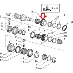 Third gear pinion  - Fiat / Lancia