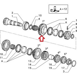 Pinione di prima marce - Alfa Romeo 156 / Fiat Coupe / Lancia Kappa / Thesis