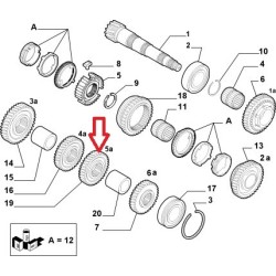 Pinione di quinta marce  - Alfa Romeo 147 / 156 / 166 / GT / GTV / SPIDER