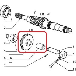 Reverse gear  - Alfa Romeo / Fiat / Lancia