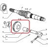 Pinione retromarcia - Alfa Romeo / Fiat / Lancia