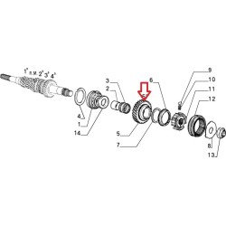 Fifth gearbox pinion  - Alfa Romeo / Fiat / Lancia