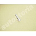 Fuel filter collar screw - Fiat Punto / Lancia Ypsilon