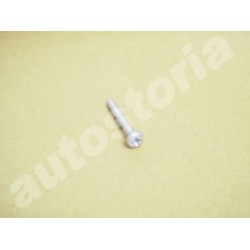 Fuel filter collar screw - Fiat Punto / Lancia Ypsilon