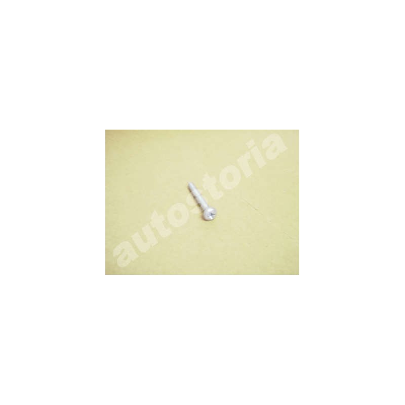 Fuel filter collar screw - Fiat Punto / Lancia Ypsilon