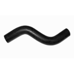 Radiator hose - Punto GT