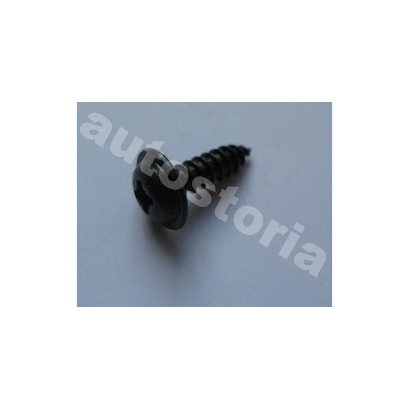 Screw coatingsAlfa Romeo / Fiat /Lancia