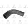 Water pump hose - Alfa Romeo 75