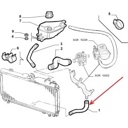 Lower radiator hose -  Fiat Barchetta