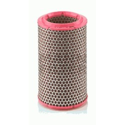 Air filter - Fiat Barchetta