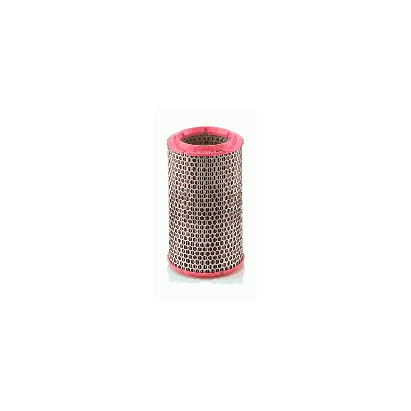 Air filter - Fiat Barchetta