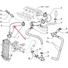 Durite supérieure de Radiateur - Lancia Thema