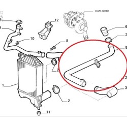 Hose  - Fiat Punto GT (1993 -- 1999)