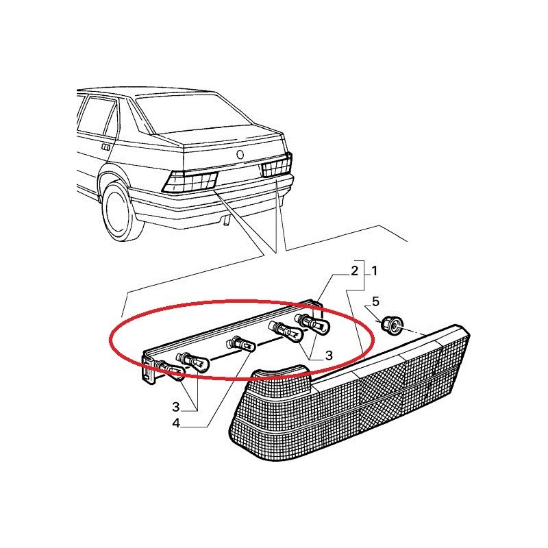 Right bulb holder - Alfa Romeo 75