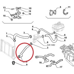 Durite inférieure de radiateur  - Alfa Romeo 166 2,5 V6 24V / 3,0 V6 24V