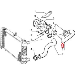 Durite supérieure de radiateur  - Lancia Delta I  1,1 / 1,3 / 1,5