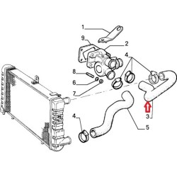 Manicoto superiore radiatore - Lancia Delta I  1,1 / 1,3 / 1,5