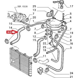 Upper radiator hose - Alfa Romeo 164  (1987 -- 1992) 2,0 TS