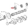 Coussinet d'arbre à cames - Alfa Romeo 75 / 155 / 164