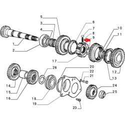 Molla cambio  - Alfa Romeo / Fiat / Lancia